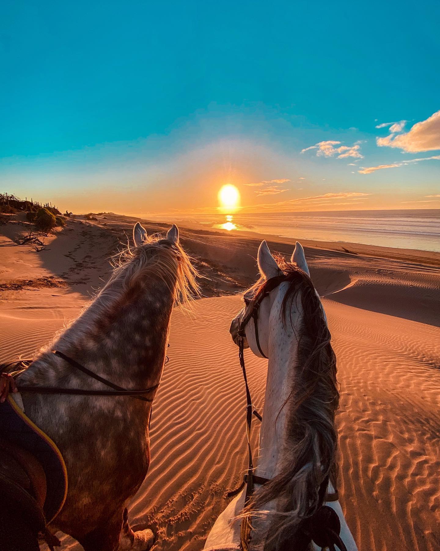 Horse Riding Holiday In Morocco - Running Wild and Free @yassine_cavalier